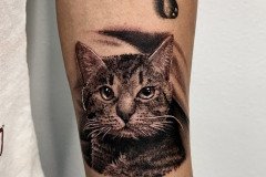 gallery-07